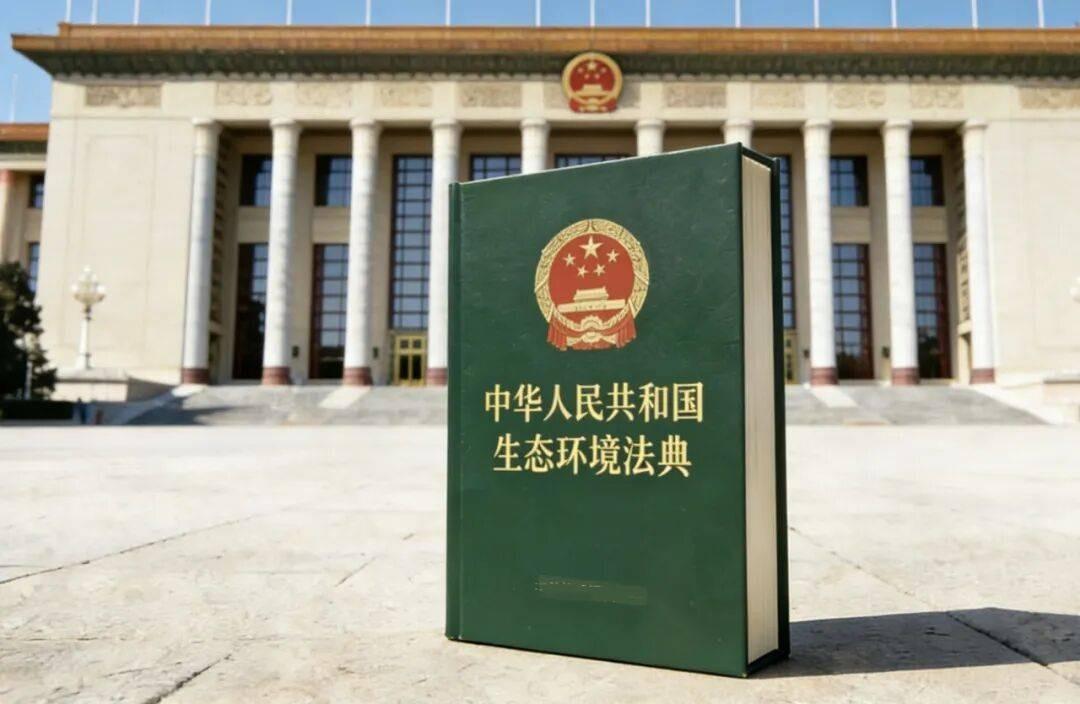 所有普通人要注意了！8月15日起，一部1242条的新法典正式落地，从你点外卖