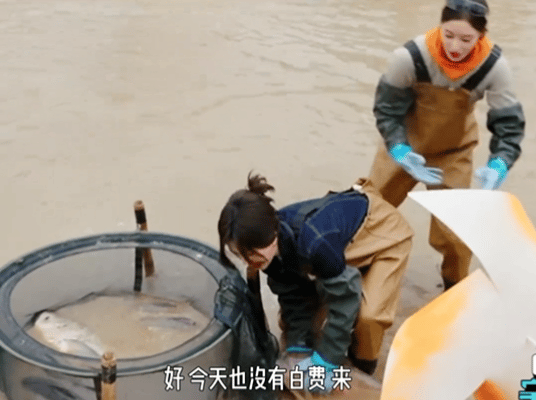 白鹿怎么这么好玩啊，太有综艺效果了，大大方方又玩得开请所有综艺都吻上来了