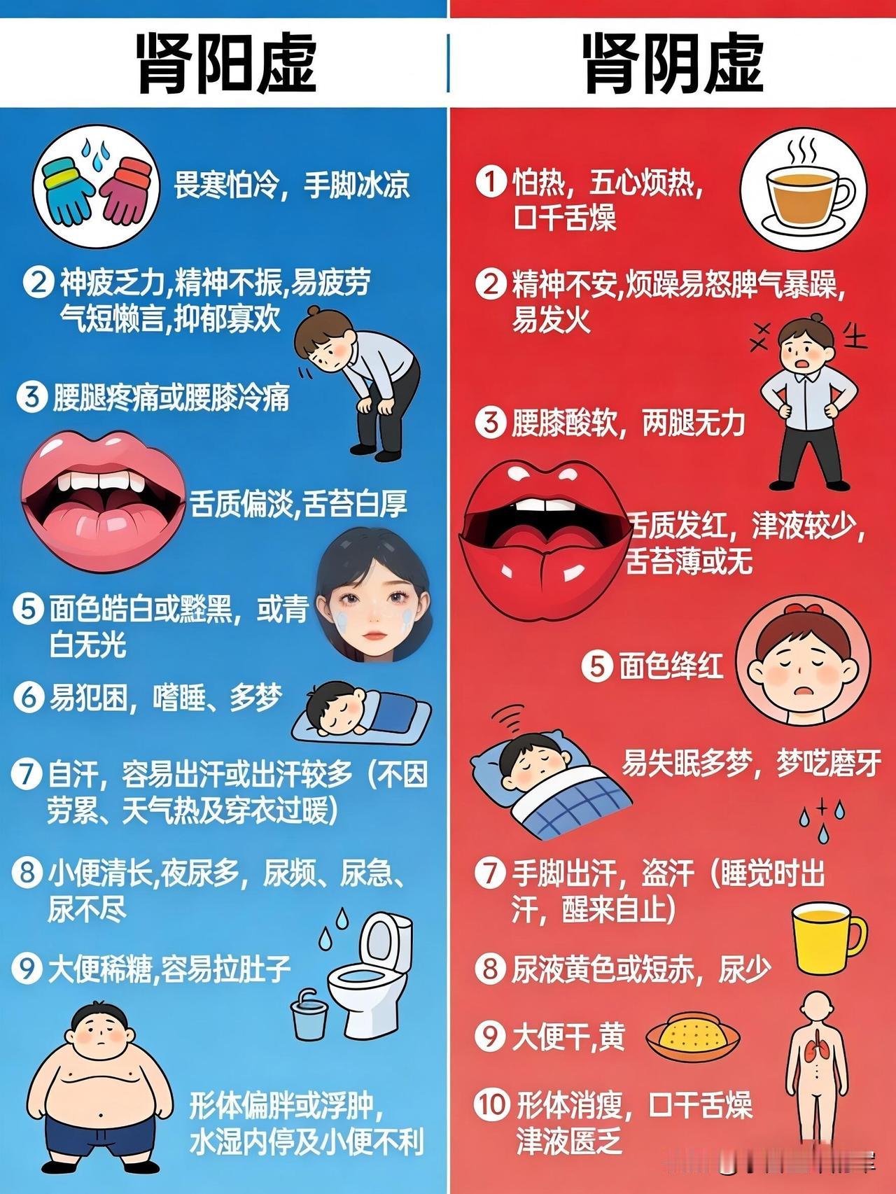 肾阳虚vs肾阴虚：分清体质，才能对症调理中医里的肾，就像身体的“能量仓库