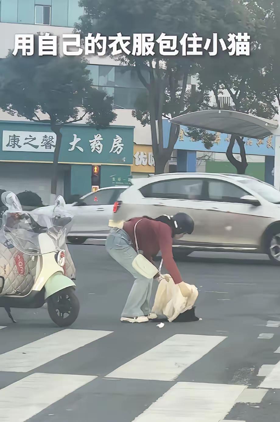 姑娘你上人民日报了！近日，江苏常州，一只流浪猫一瘸一拐在红绿灯路口爬行，眼看小黑