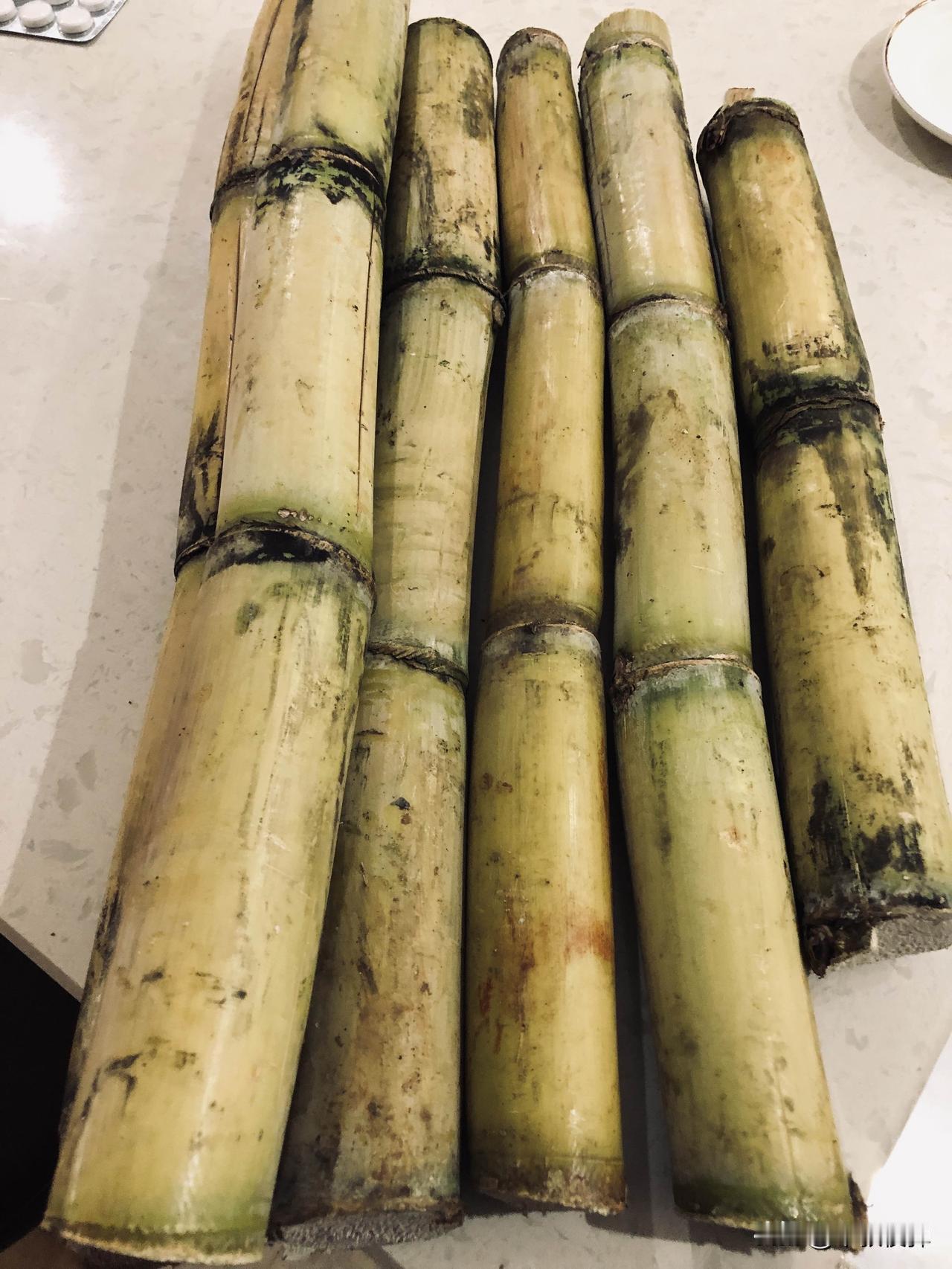 古代俄罗斯人也就是斯拉夫人在欧洲一直是胆小懦弱的民族，猥琐的在欧洲苦寒地苟且生存