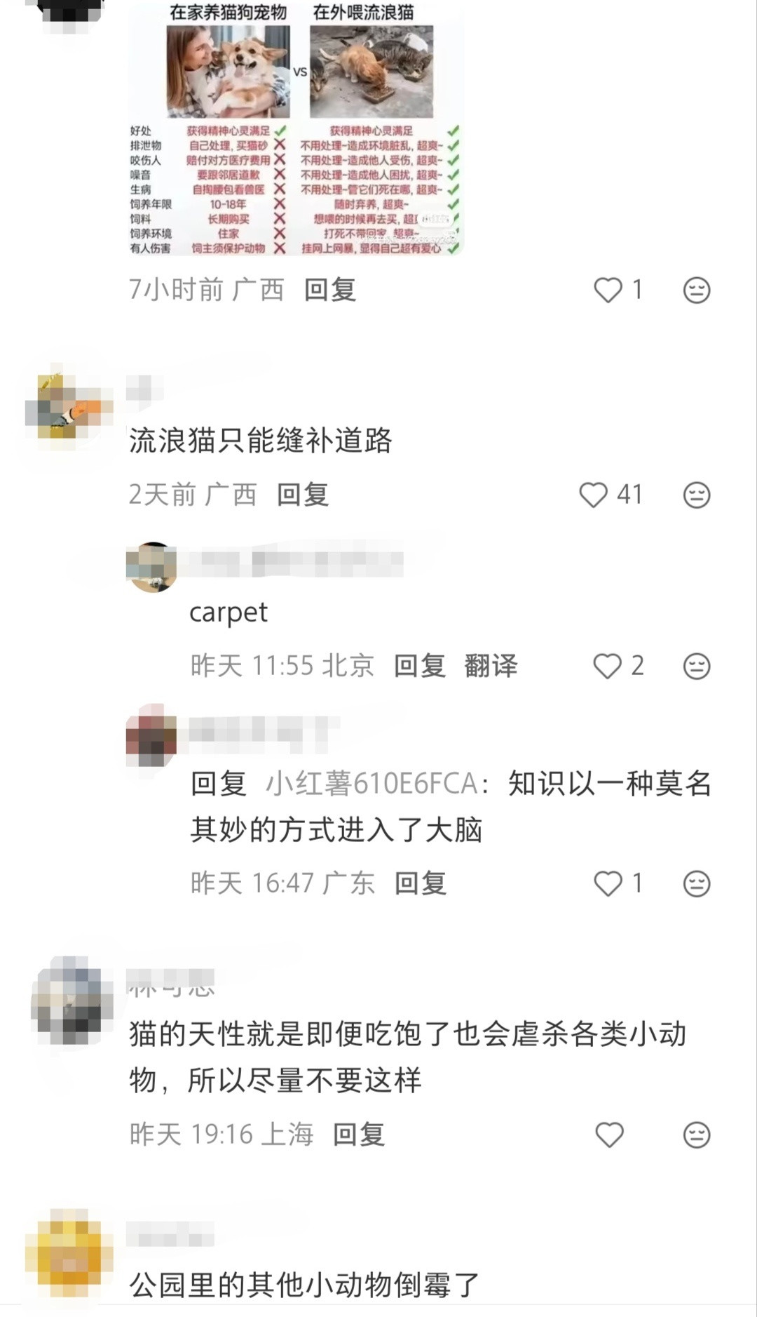 很不理解，为什么喂流浪猫成罪大恶极了！难道不是弃养最可恶吗？！