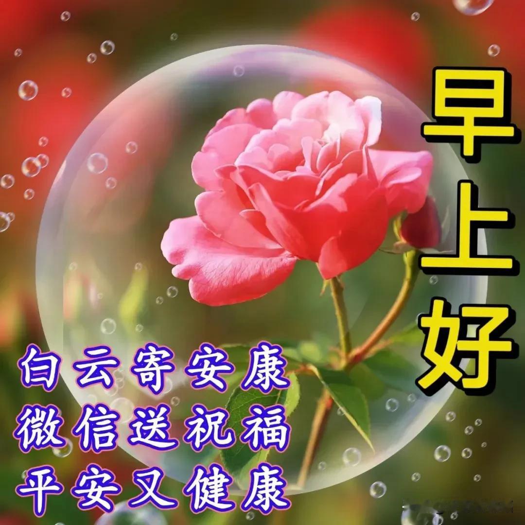 早上好问候祝福语，缘深缘浅，彼此思念，彼此牵挂🍂一声祝福暖人心🍒🍂天