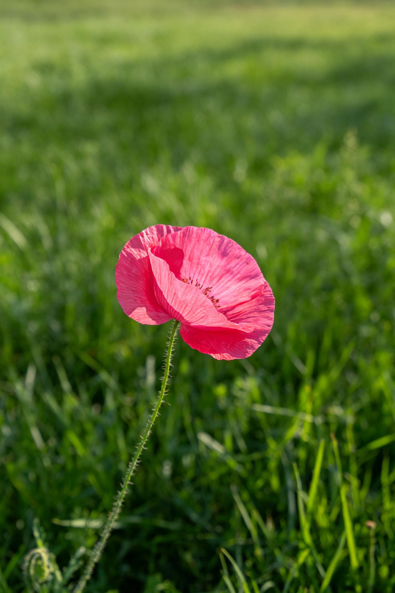 经济学家说：“当你赚了大钱以后，记住这句话：能够变现的，能增值的才是资产。赚了