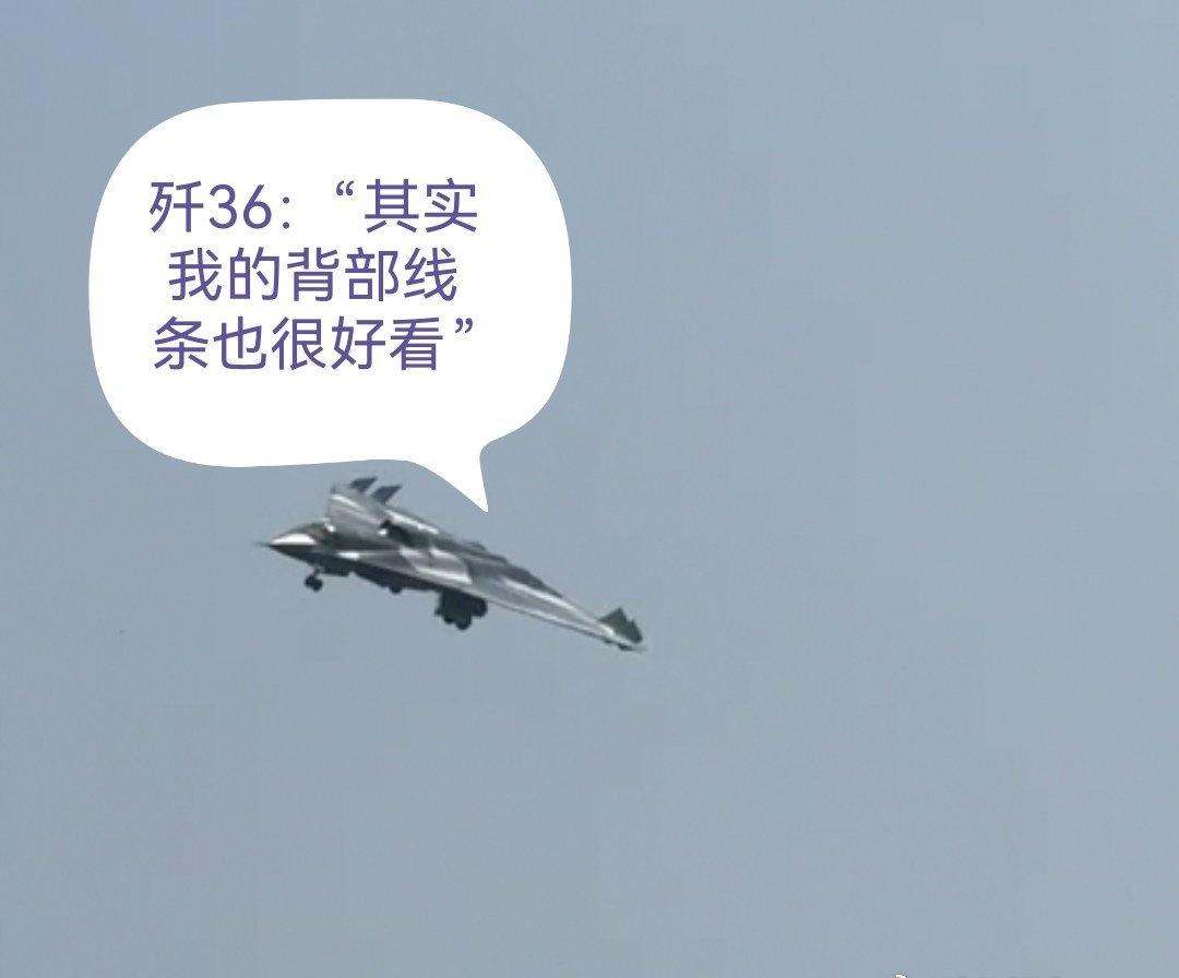 歼36：“其实我的背部线条也很好看，平滑腹部看多了，来看看我雄壮的脊背”[doge]