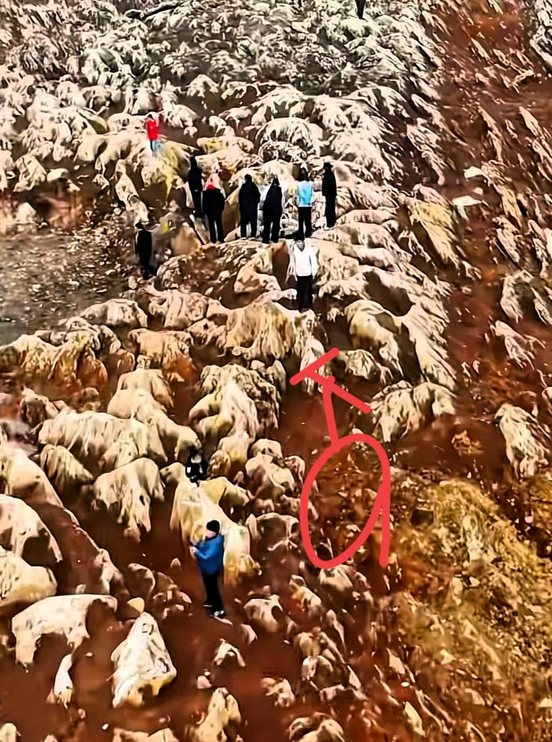 挖到宝了！山东宁阳高铁施工一铲子下去，直接挖出5亿年前的“海底世界”，太震撼了！