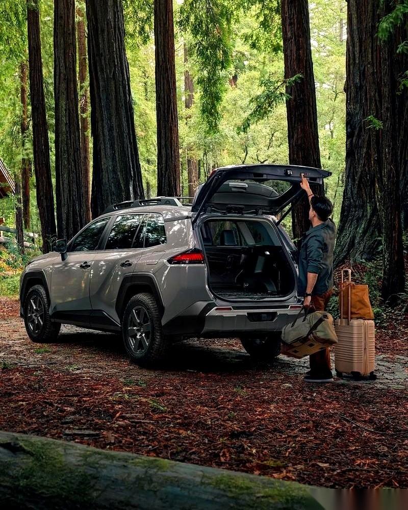 你别不信，这就是咱中国的买车真相，扎心不？一半的家庭，买车预算，10万以下。