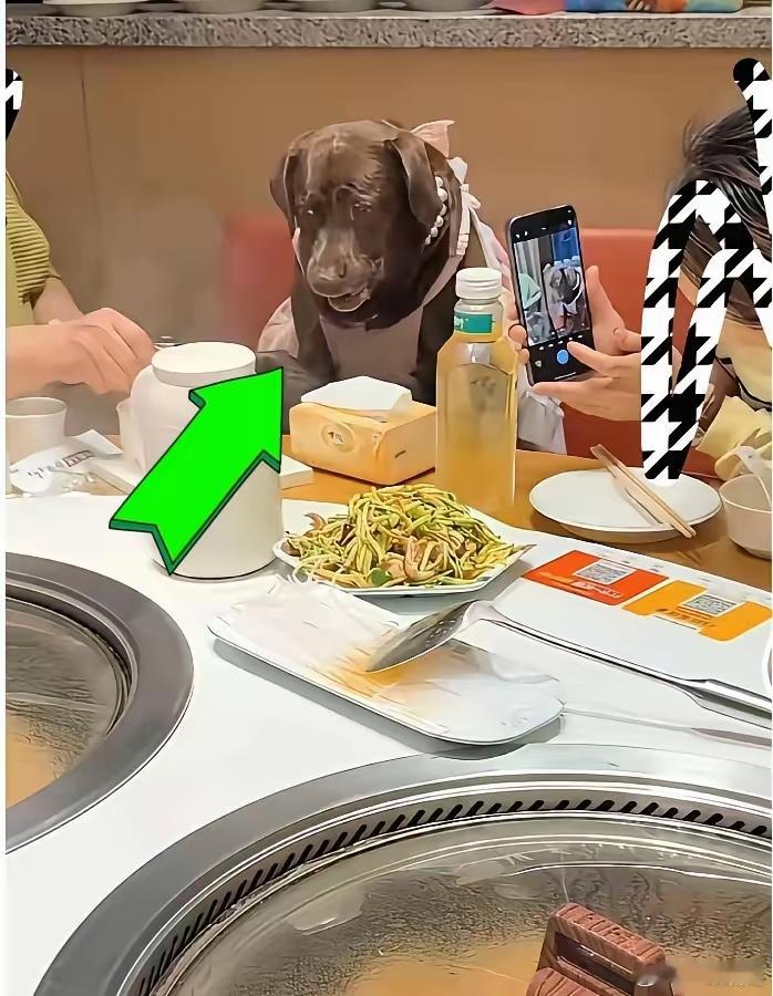 “缺大德了”，天津市有位狗主给狗过生日，选择一家铁锅炖，还用人用的餐具给狗喂食。