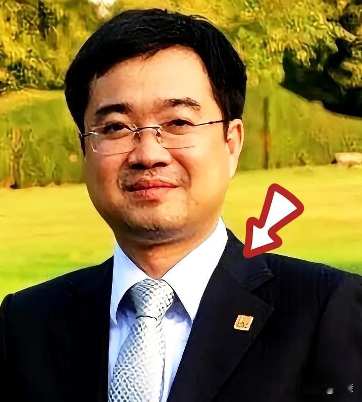 南边那个最大的家族，又开始折腾了。老爹当年没爬上去的那个位置，现在轮到两个儿