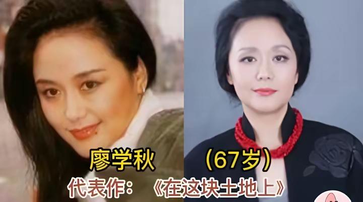 廖学秋，颜丙燕，咏梅三位气质女神，越老越有气质，你喜欢哪一位？