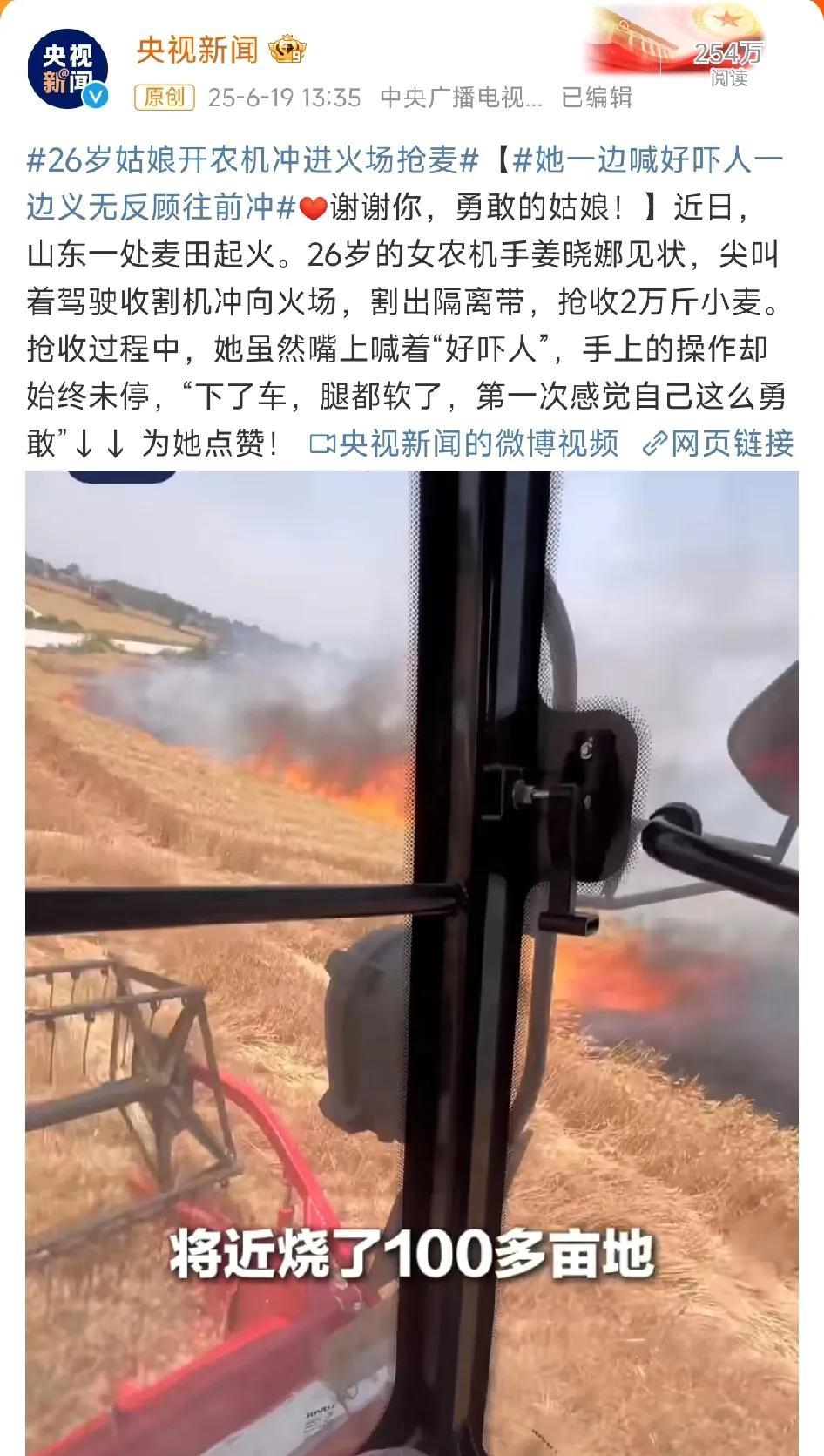 这个26岁的山东姑娘火了，连央视也为她点赞！山东这段时间正处于紧张繁忙的小麦收