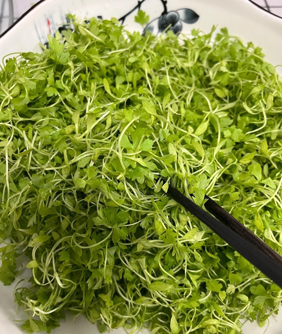 200快一斤的菜吗