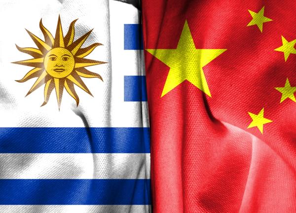 就在刚刚，中国外交部正式宣布，2月1日的北京首都国际机场迎来了一批特殊的