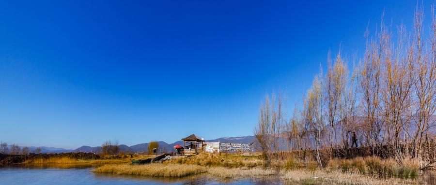 学会“放手”，也是一种爱 前段时间，一个妈妈来咨询：涔汐老师，我现在活得好痛