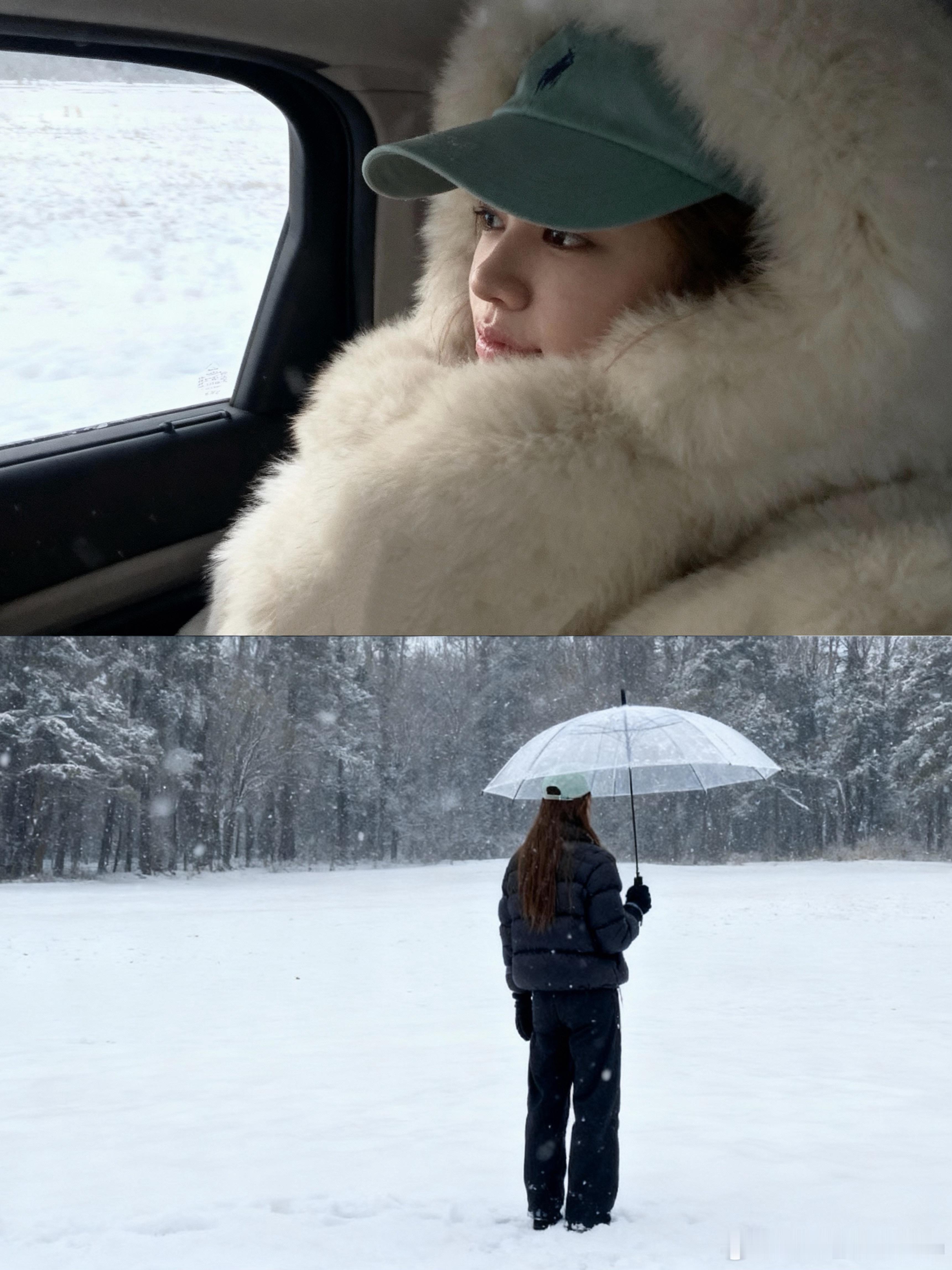 2026如星灿烂如风自由加拿大·温哥华