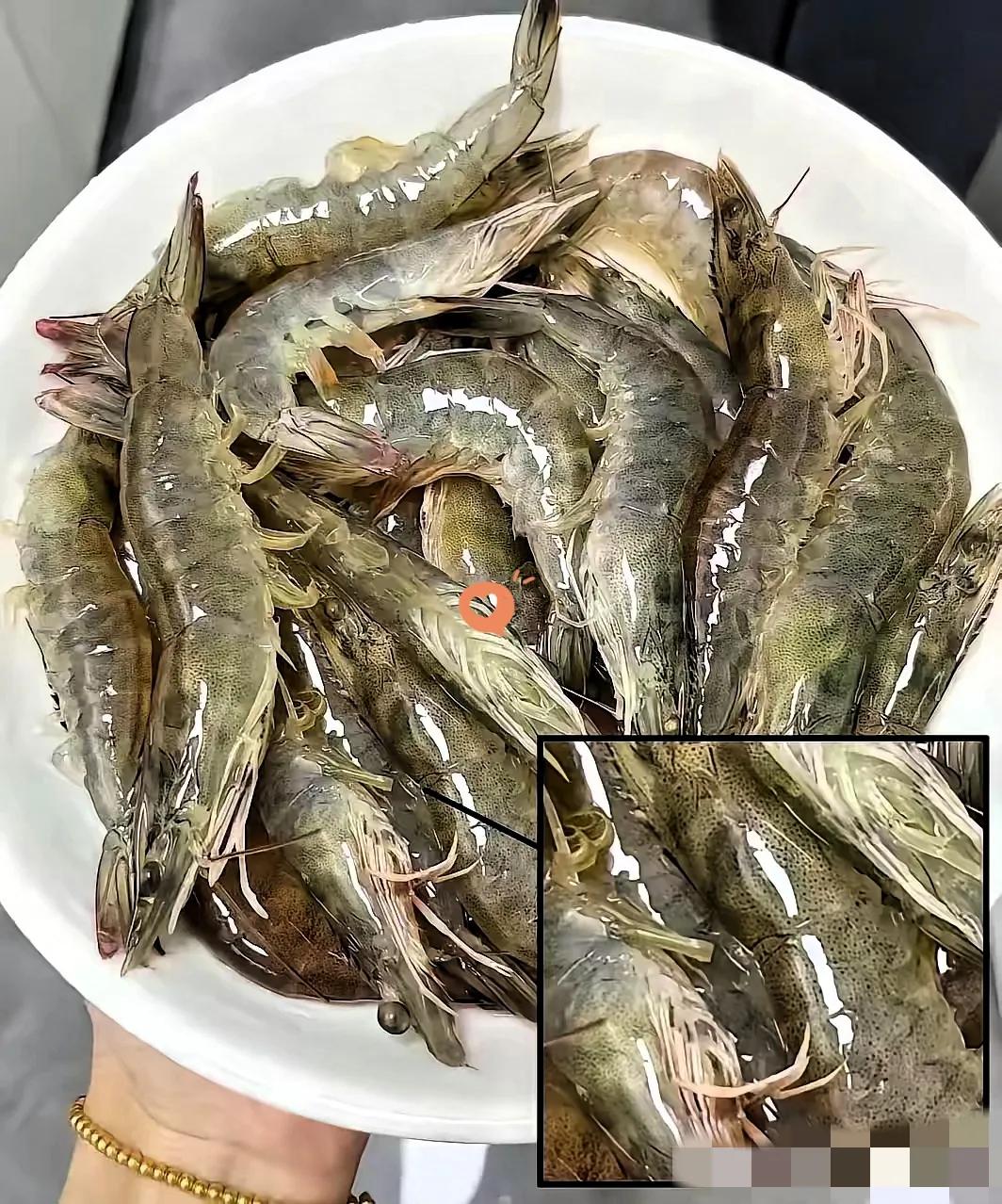 以前我超爱吃基围虾，现在基本一口不碰了！不是不爱吃，是真不敢吃——听说现在不