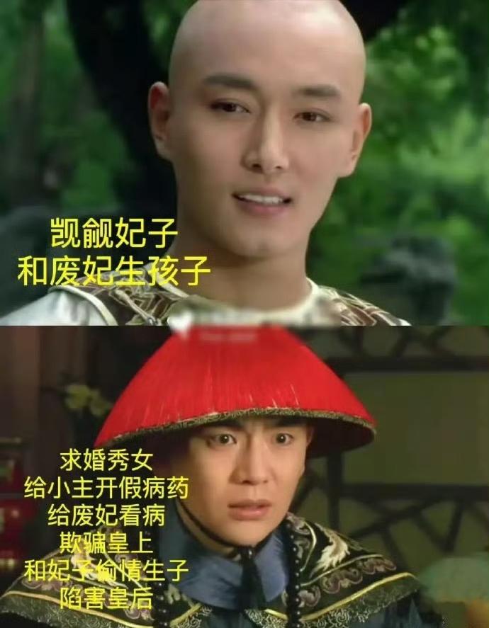 网友说他们4个是甄嬛传里面最大胆的四个人​