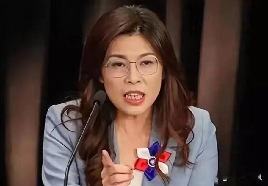 郑丽文针对高德地图发表了自己的看法，她说：“现在只要什么事情跟大陆扯上关系，就好