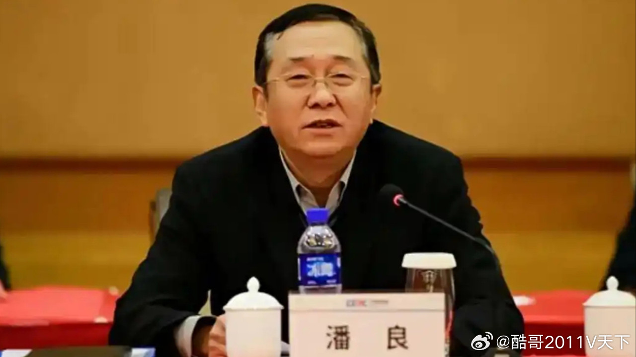 微博知名博主国务院国资委原副部长级干部潘良严重违纪违法被开除党籍反腐倡廉