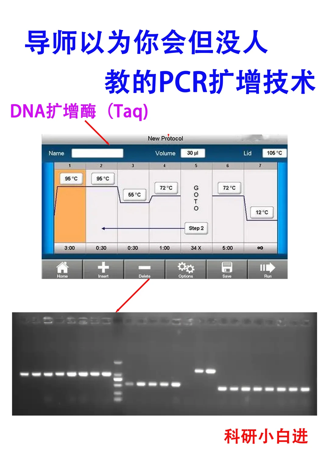 🔥导师以为你会但没人教的PCR扩增技术