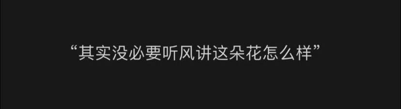最近读过最滋养人的一段话