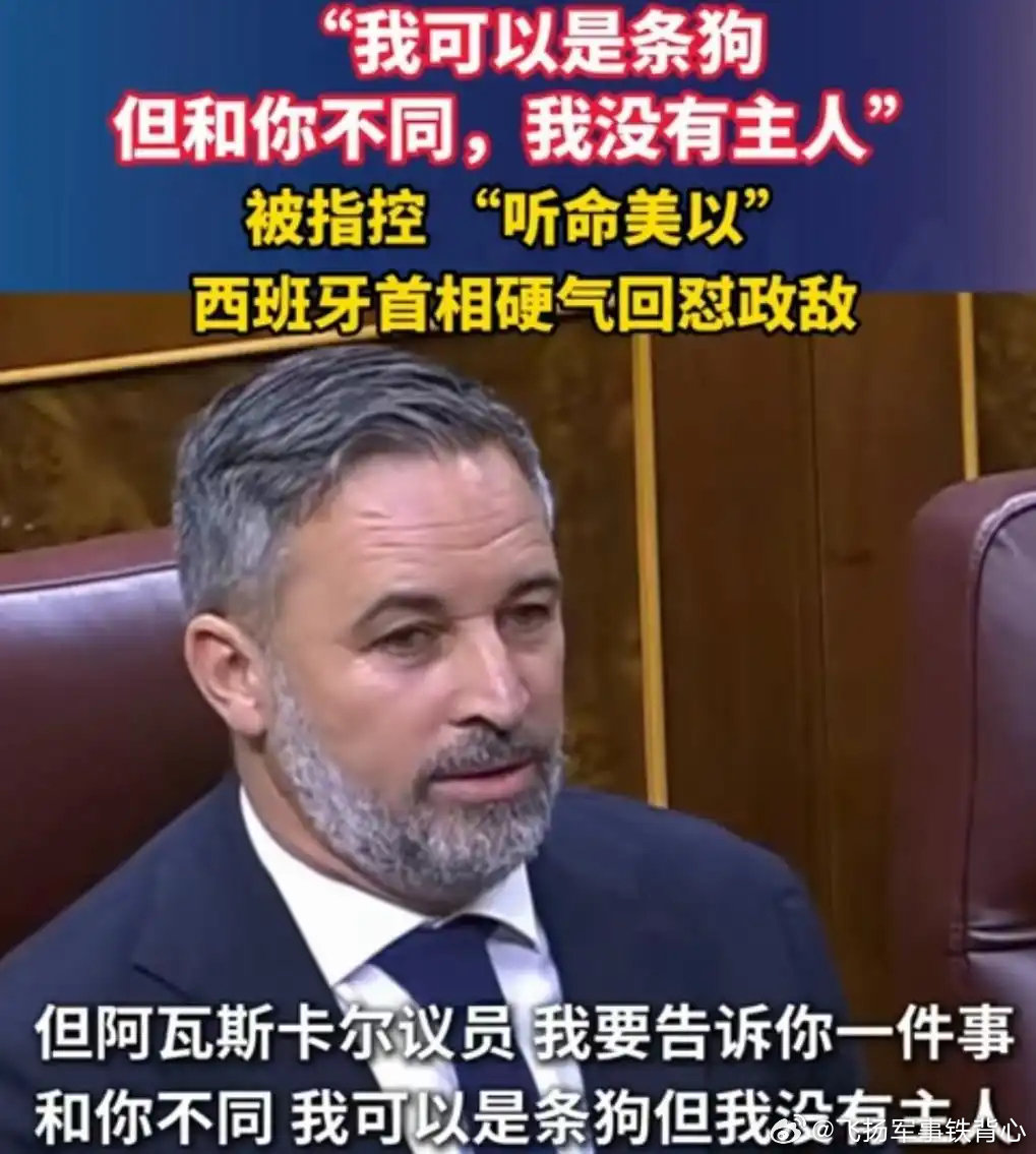 #陈枫说胡锡进和稀泥#【一个尖细的声音响起】“你们这些泥腿子，可千万不要扰了老爷兴致。”“到时候上面
