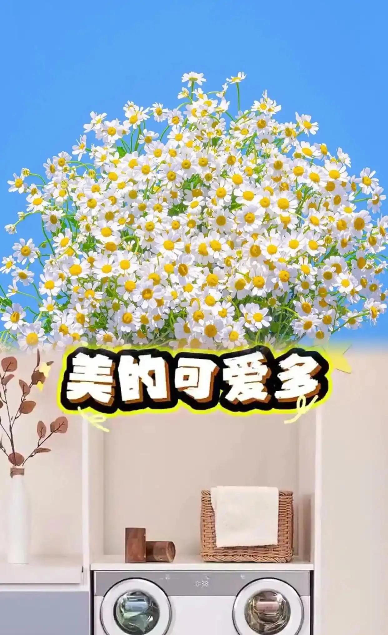 4249.15元抢美的（Midea）可爱多滚筒洗衣机全自动带烘干洗烘一体11