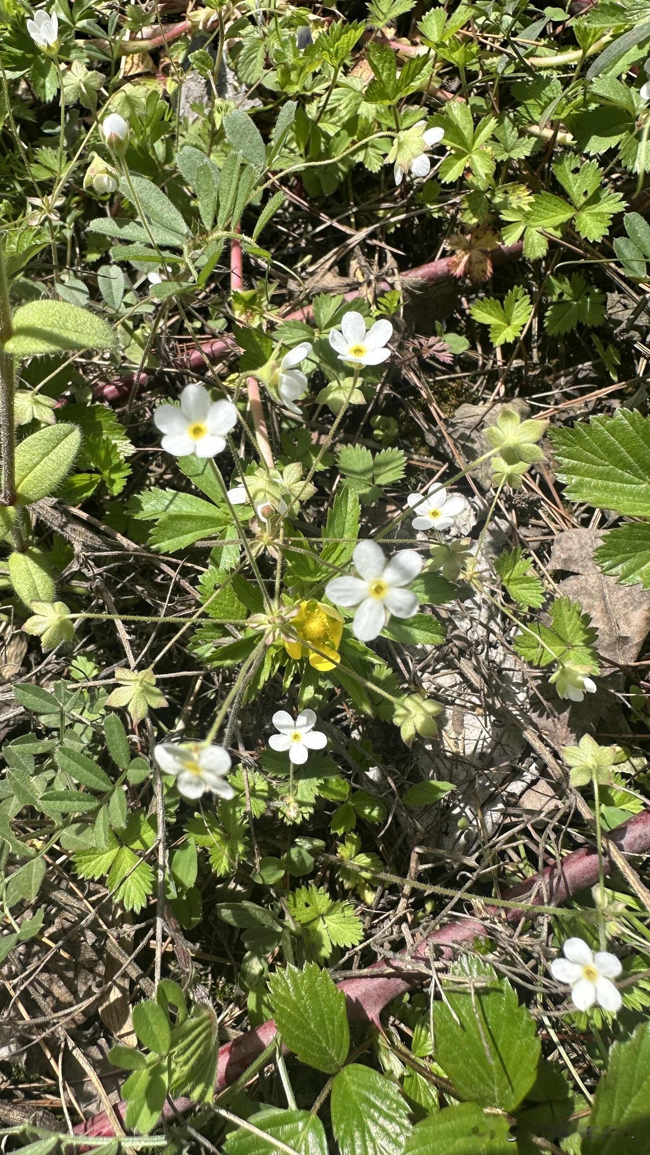 很多人觉得，欠了一屁股债，这辈子就废了。但你想想：你还拥有一个可以行动自如的