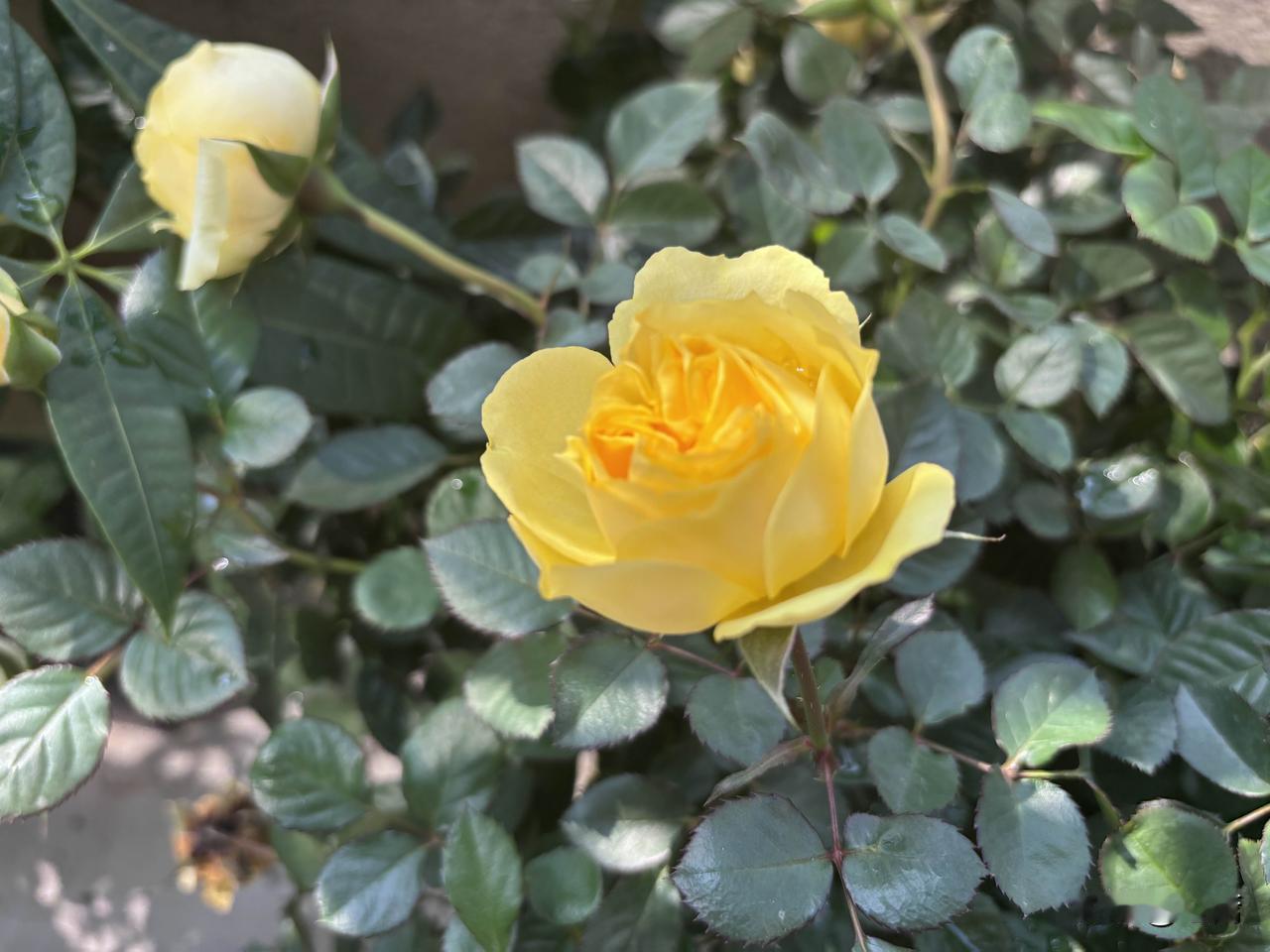 看到有不少人说陈小群的手机号，身份证，北京住址都被人肉出来了。陈小群之所以成