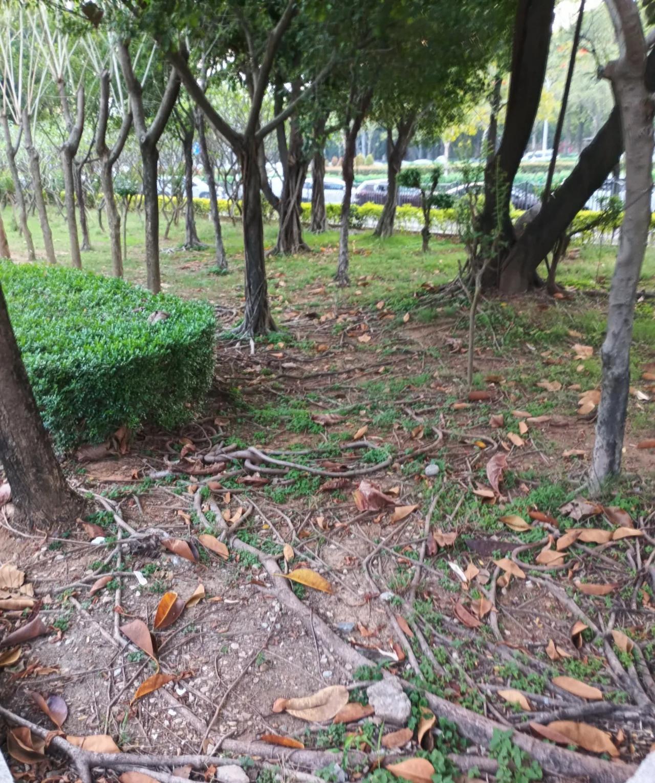 好无情的三大生肖都说蛇、鸡、鼠是最无情的三大生肖。属蛇的人深沉谨慎，洞察力敏锐