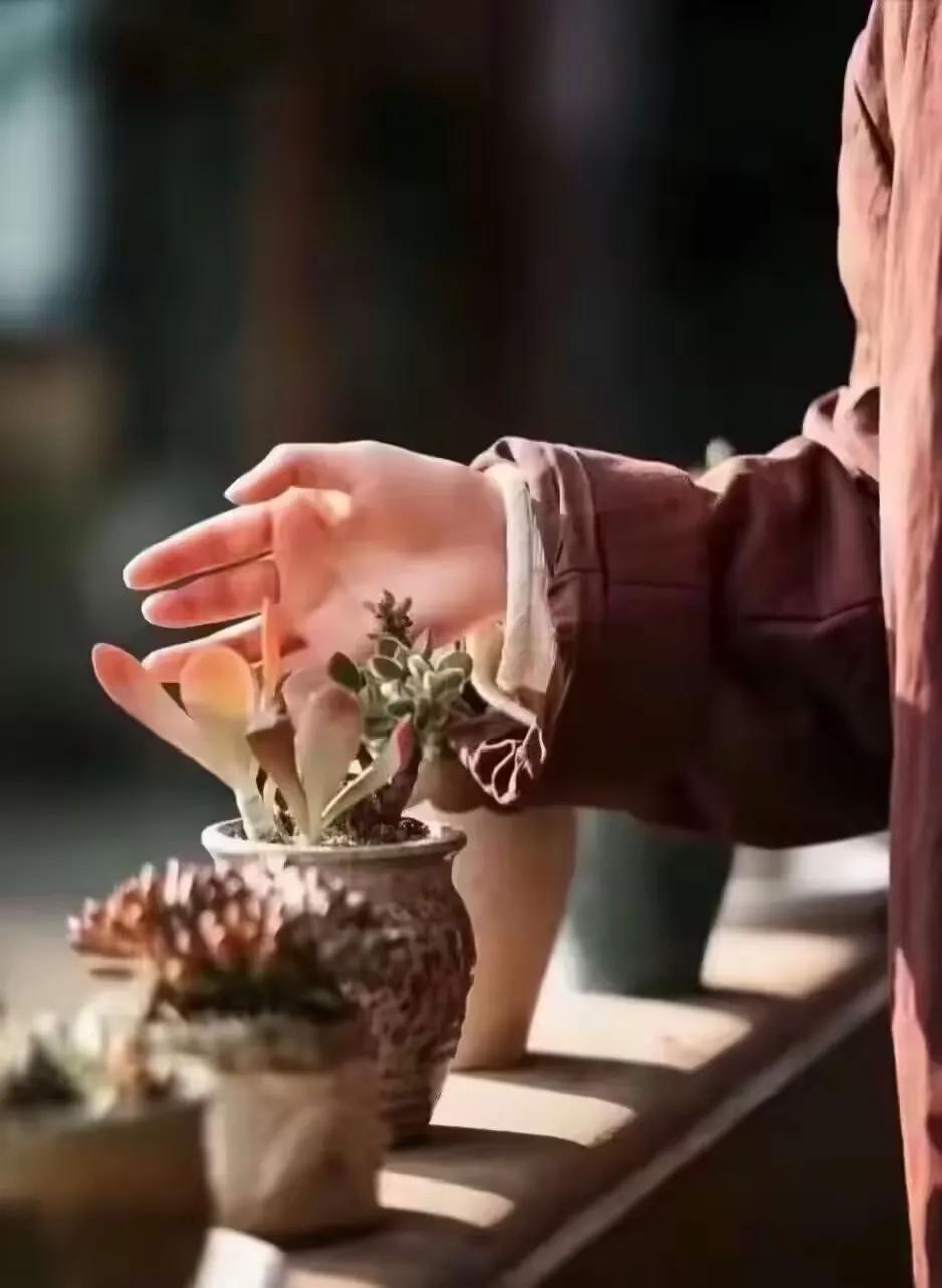 令人深思的一段话：“大多数男人，根本就没有体验过，被女人真正爱的感觉，一个女人真