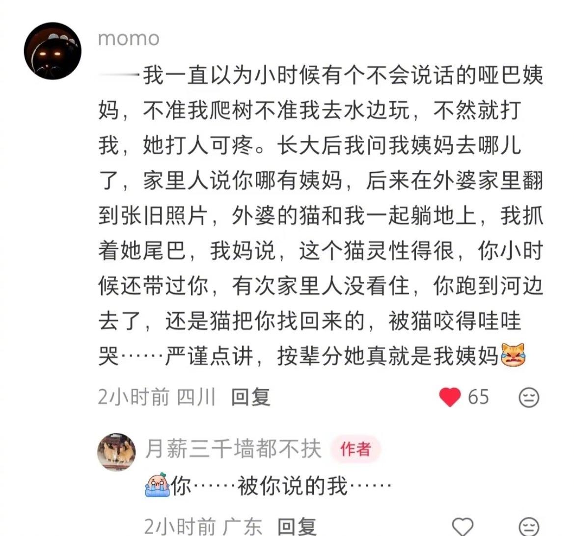 是猫姨妈啊TT