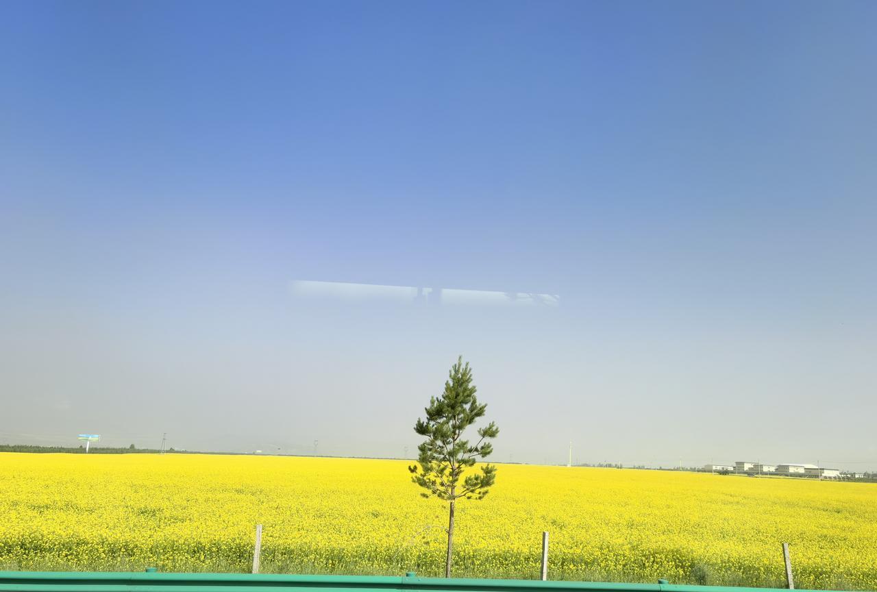 祁连烟火气息浓些，相比门源则有点寡淡。与两个地方族群构成有关吧，祁连回族占