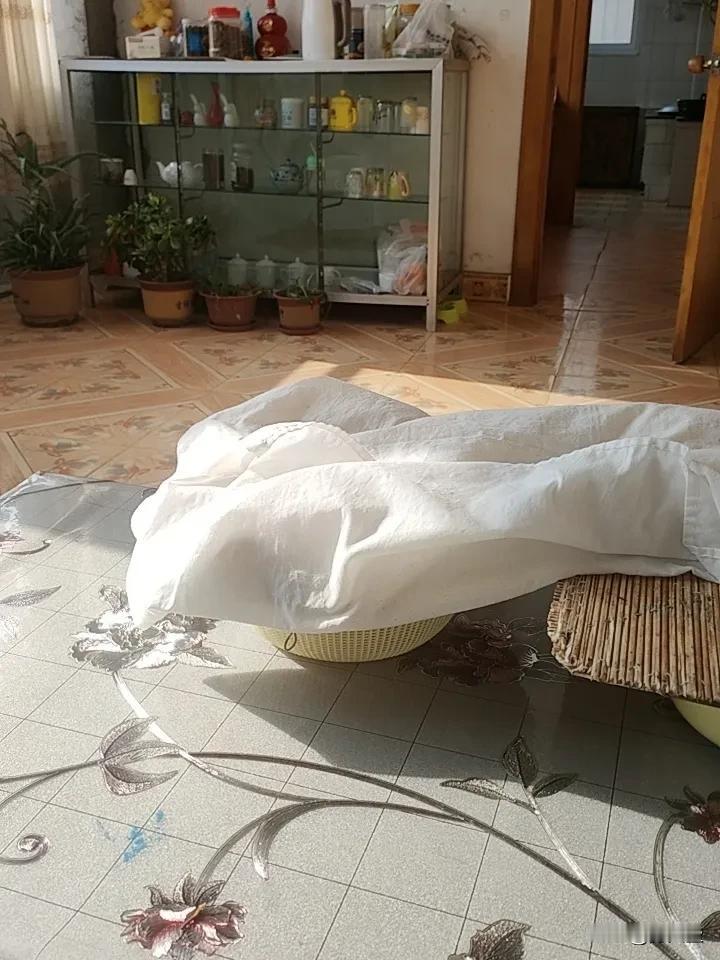 如果我有100万必须上班！现在100万算个啥啊？如果不上班坐吃山空，这点钱很快