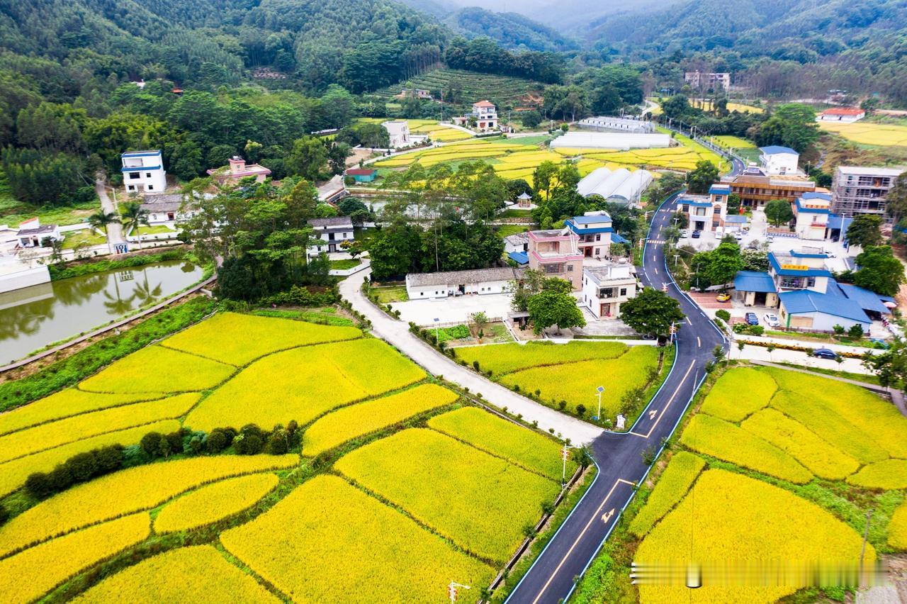 和以前比，现在就是共产主义七十年代上小学，老师跟我们讲共产主义，说就是：楼上
