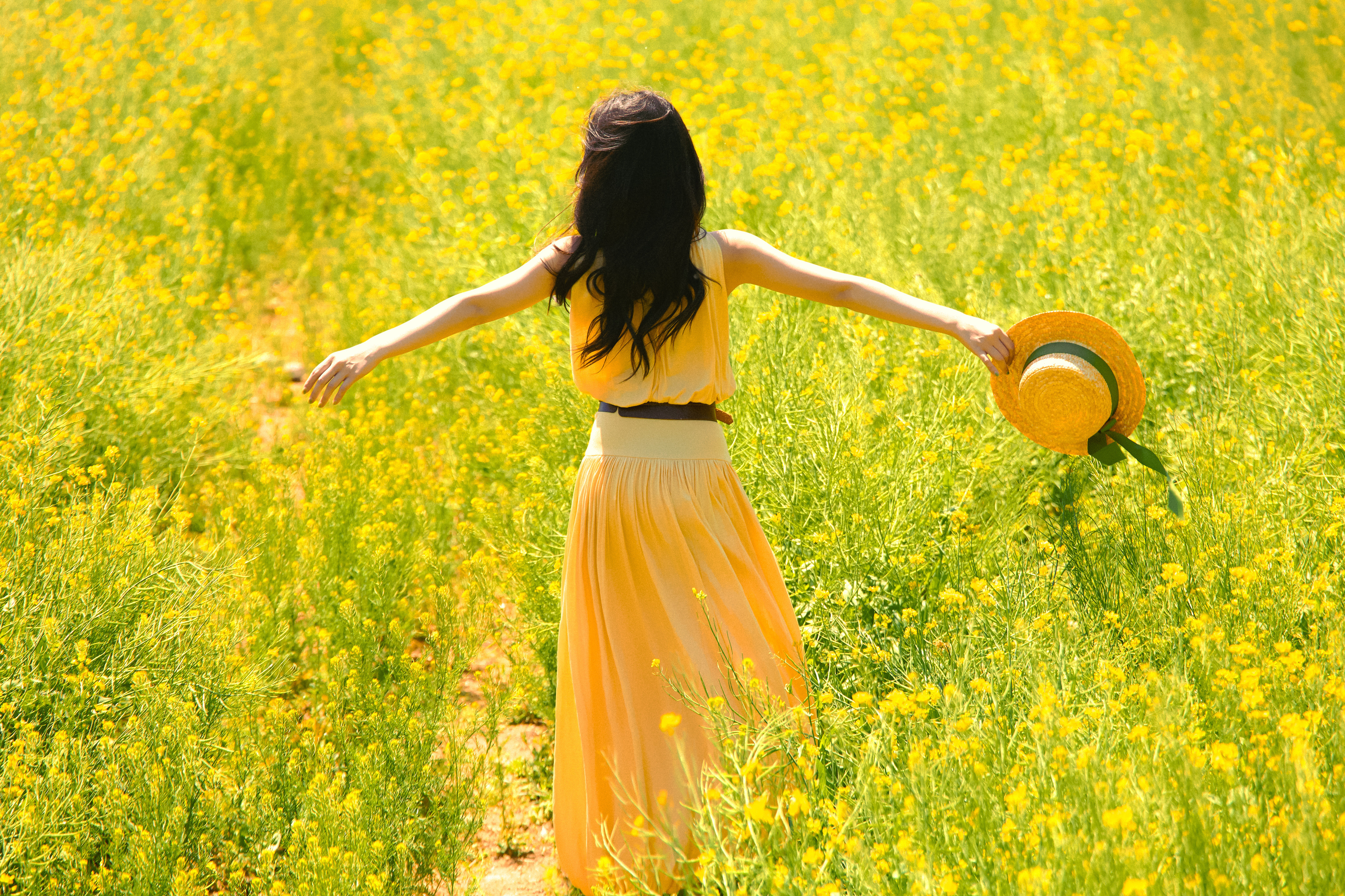 任敏🌼🌤️「夏の田野」