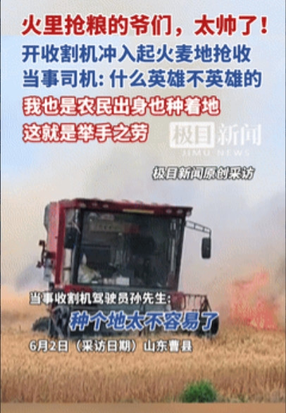 这不是在救火，是火口夺粮！”山东，20亩小麦燃起熊熊大火，男子开收割机路过，毫不