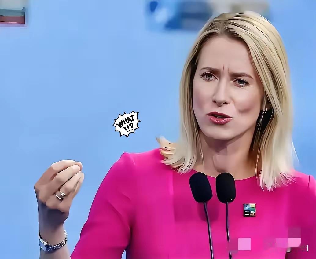 欧州第一傻，欧盟外长卡拉斯北京时间18日在社交媒体发文：美国对格棱兰岛主权的索