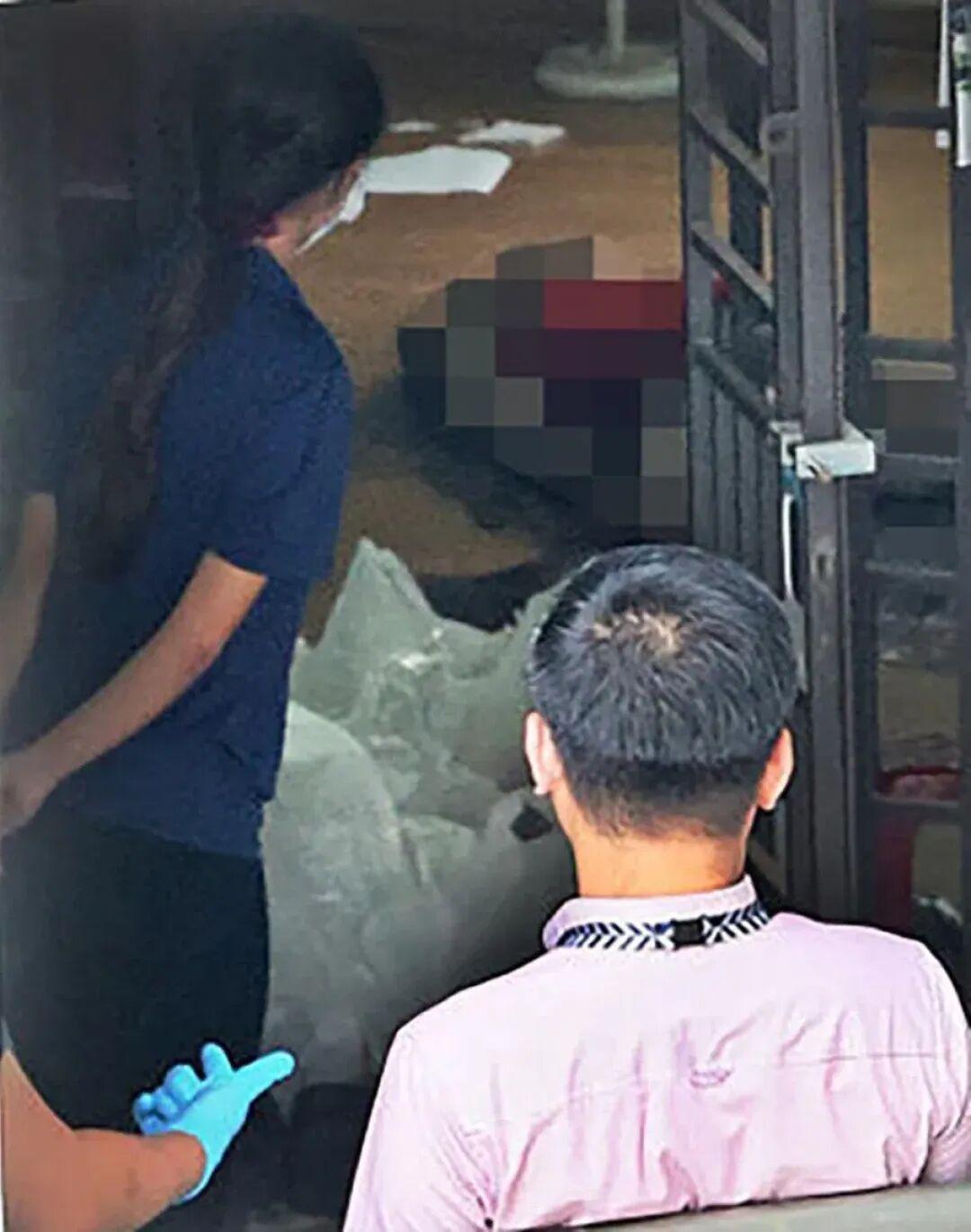 10月6日，新加坡发生一起悲剧，一家三口来自东北，移民新加坡多年，住在组屋。父母