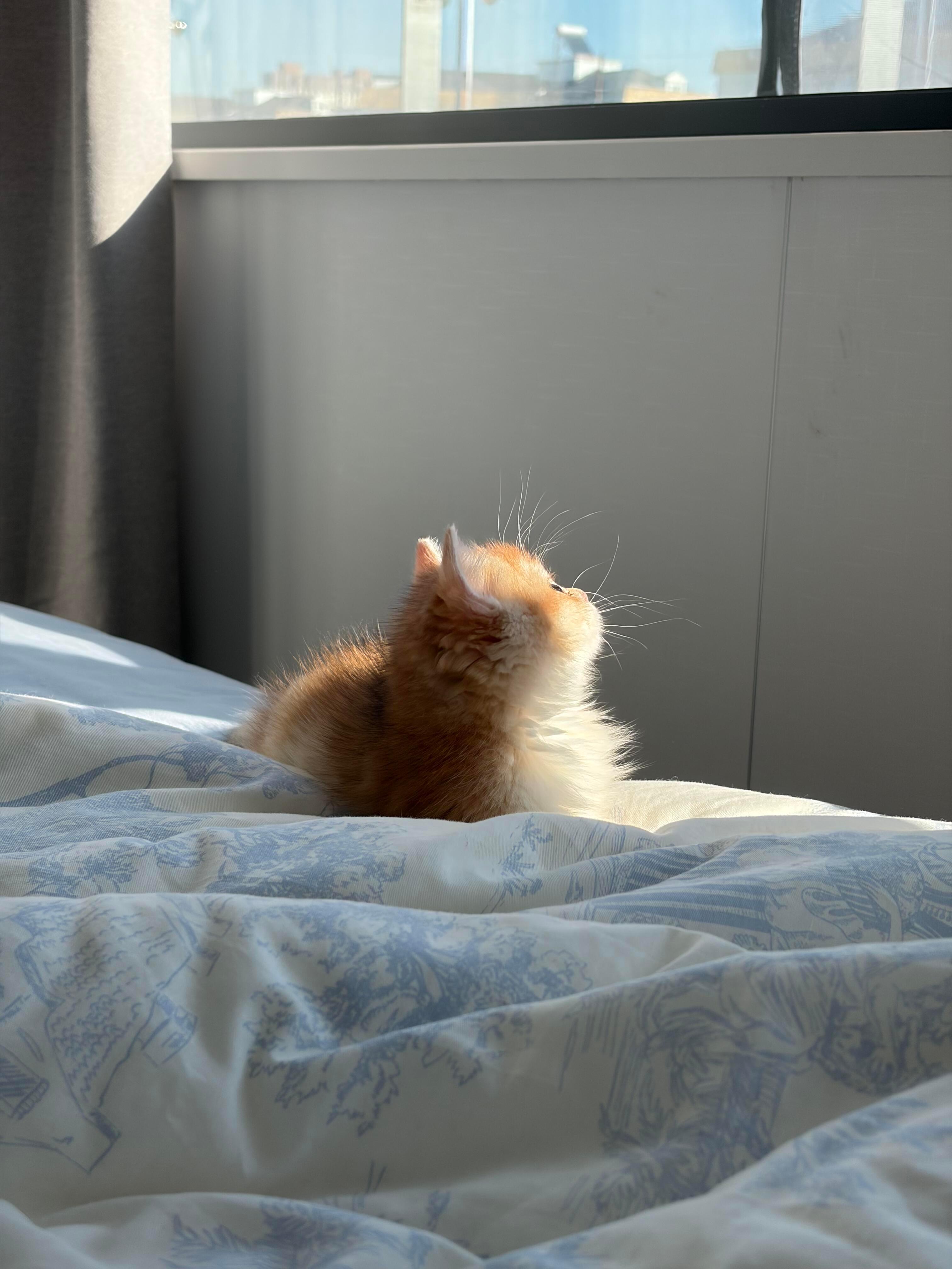 阳光是咪最好的滤镜～