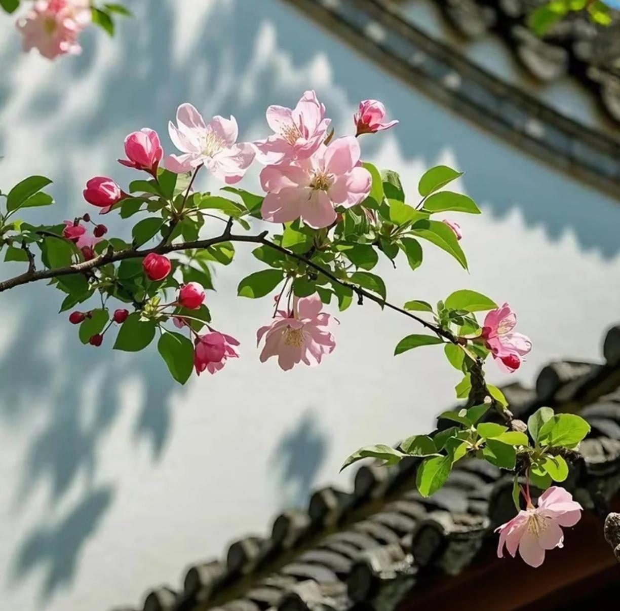 老伴儿今天给我上了一课，他的一句难听话让我感觉到既真实又扎心。今天和老伴讨论