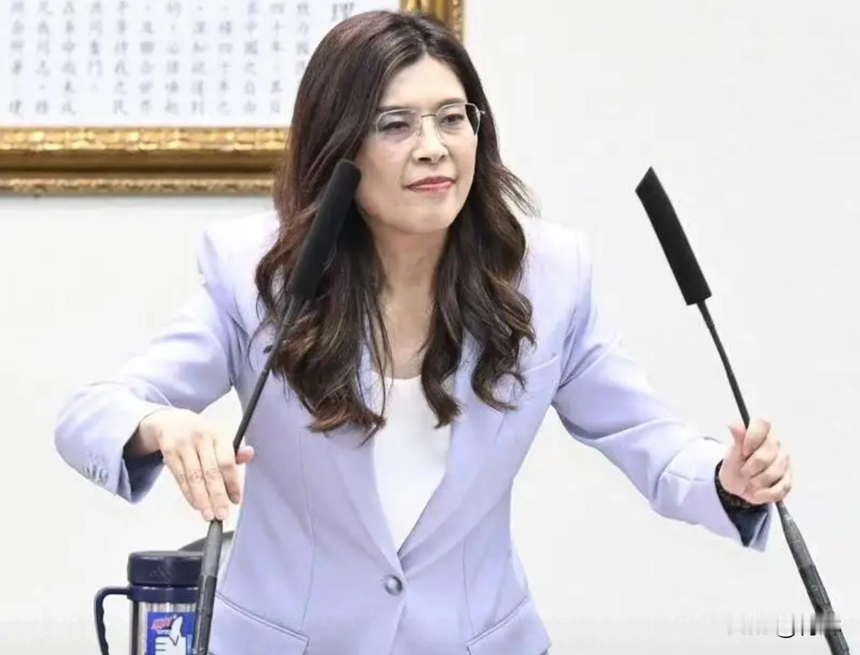 法案不通过，就去不了美国！郑丽文也没办法5月8号台岛所谓的历立法单位在部分代表