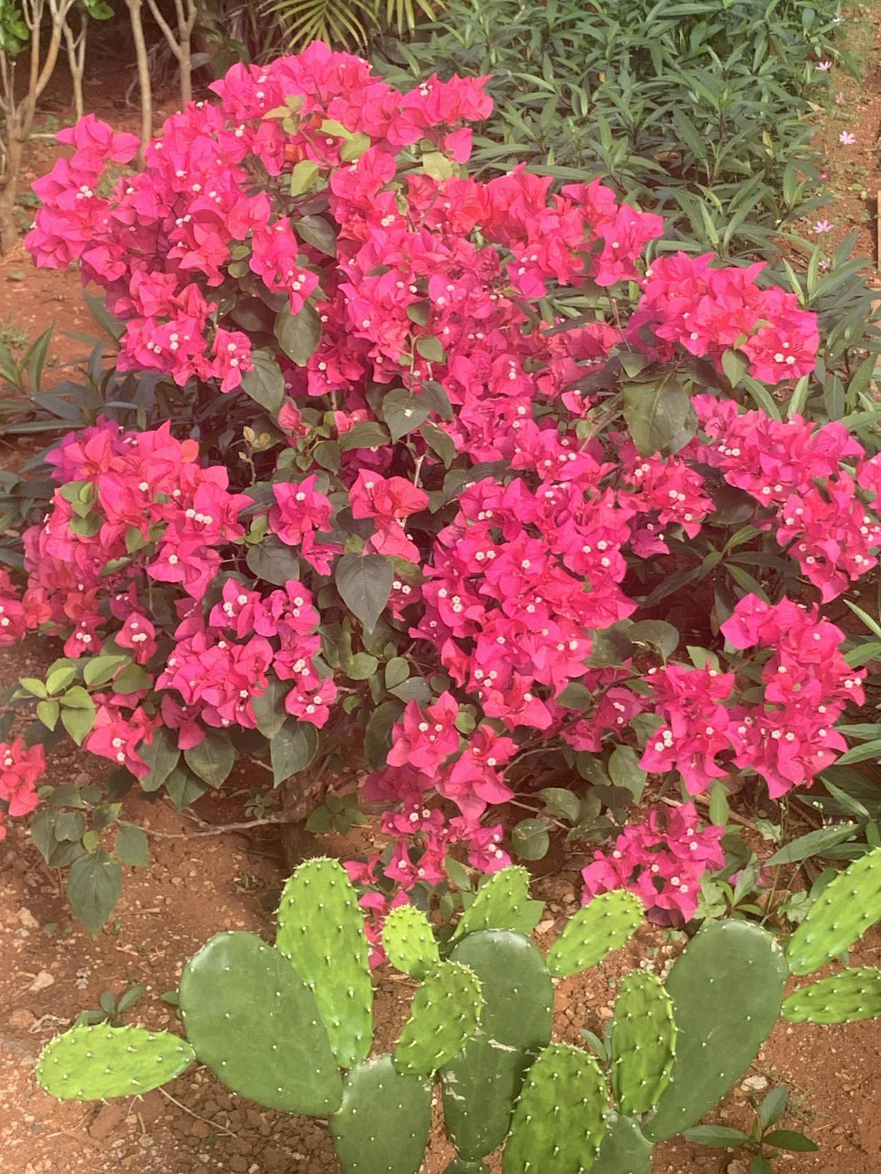 三观不合的人，真没必要深交。道不同不相为谋，圈子不同不必强融。就像交朋友，本质是