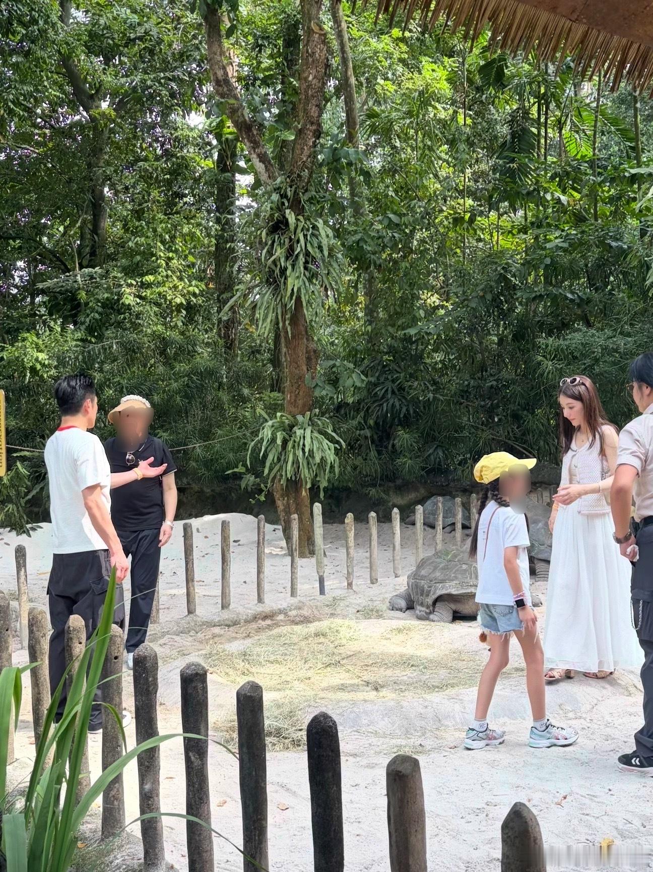 好幸福的一家人吧新加坡动物园偶遇郭富城一家郭富城方媛带孩子逛动物园