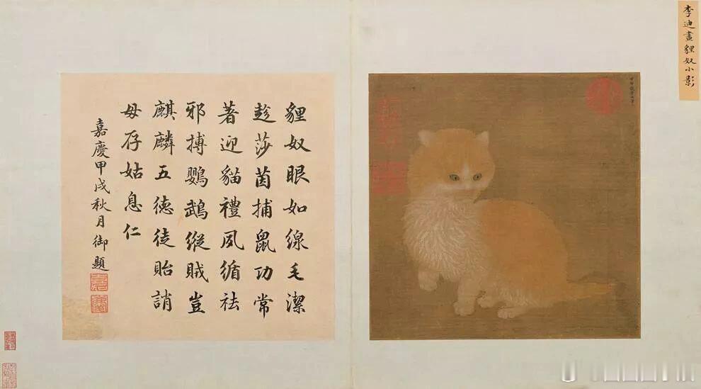 宋代人养猫的讲究程度令人惊叹，他们要先郑重签订“聘猫契”，承诺好好照顾这个小生命