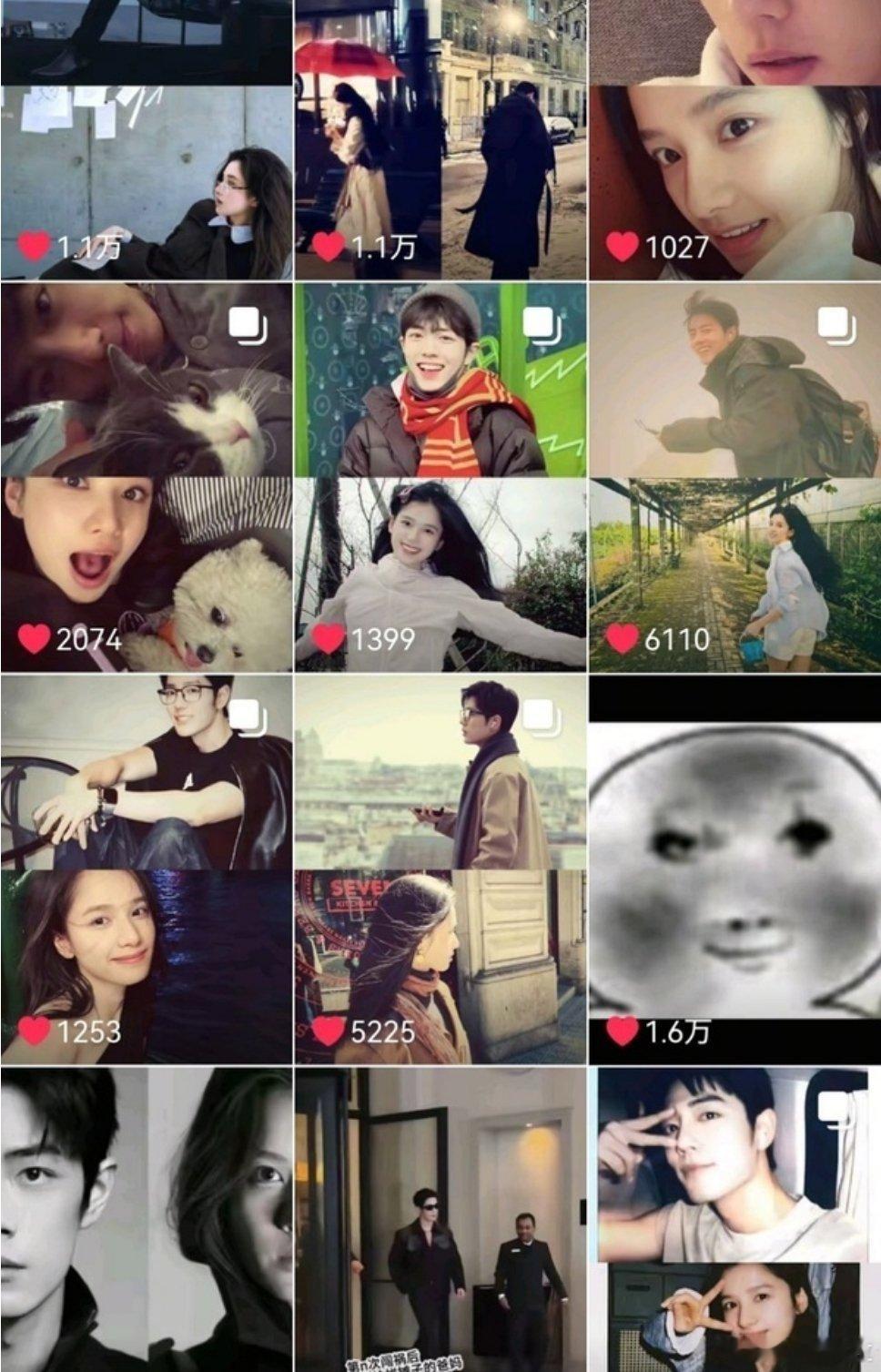 我们拼好饭版奴奴荼荼终于等到同框了肖战张婧仪澳门活动同框