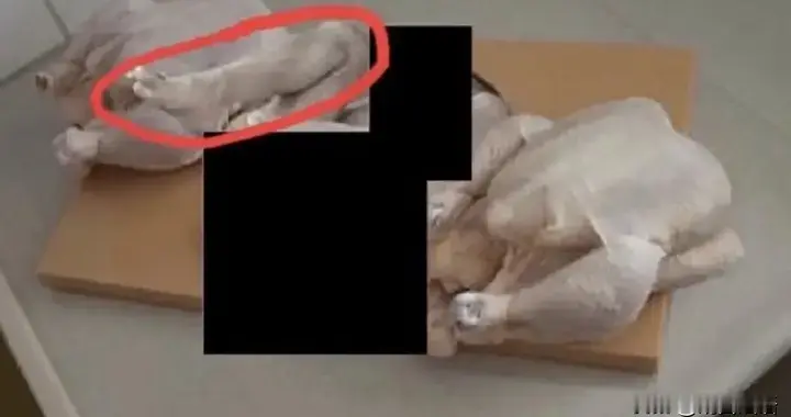 爱泼斯坦案乌龙照片曝光：西方贵族‘吃人’传闻背后的权贵黑幕