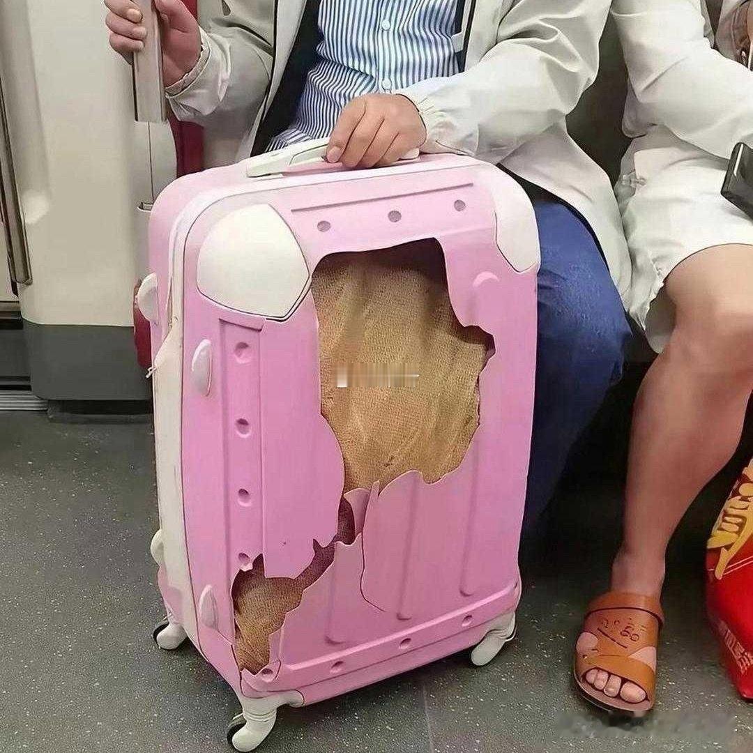 还以为是个破箱子结果是我看错了！