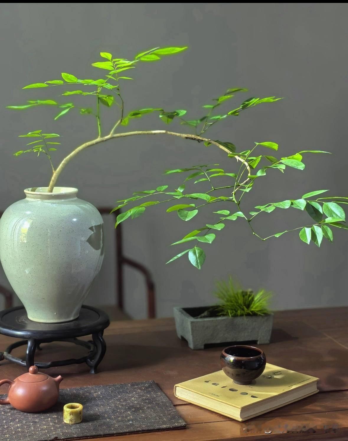 前年，上海放松疫情管控，就有很多人反对。年底，国家彻底结束疫情防控措施，有更多的