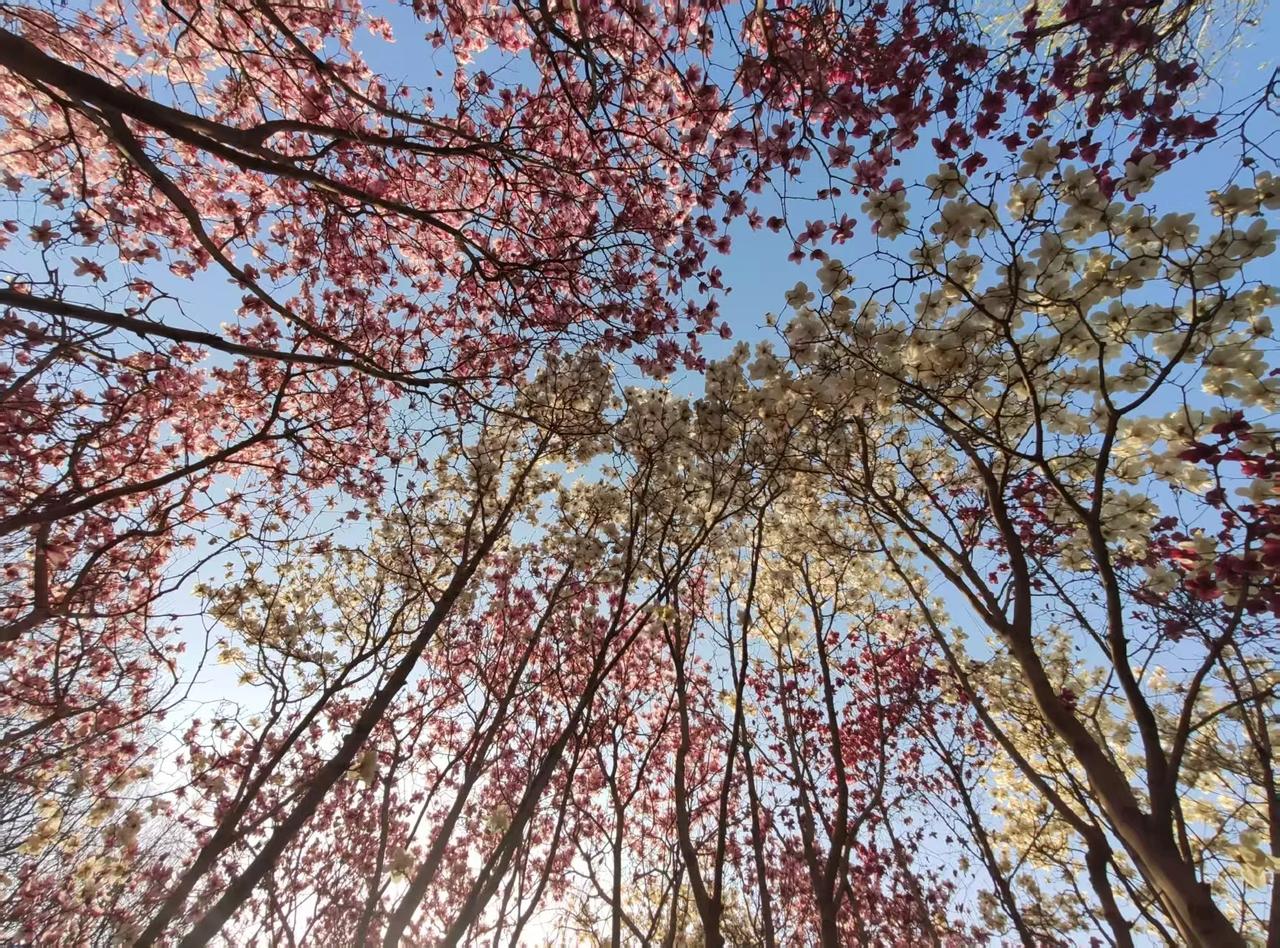 一位市纪委老书记，送别告诫考上省委选调生外甥的悄悄话——哎，说起来，体制外的